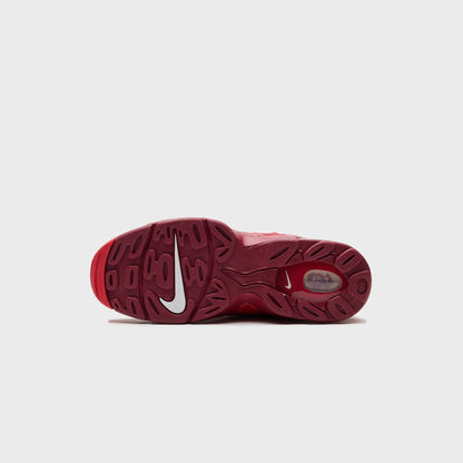 Nike Air DT Max 96 - University Red / White / Red Crush